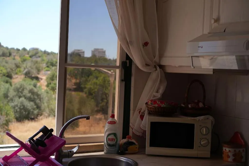 Апартаменты Spacious Portuguese Flat With Pool Next To Beach Алвор